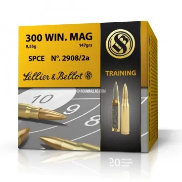Affaire À Saisir MUNITIONS BALLES SELLIER & BELLOT 300WM SPCE X40