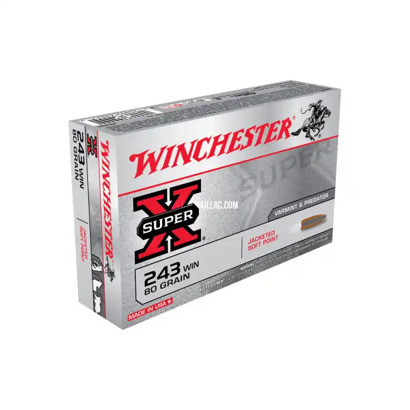 Affaire À Saisir MUNITIONS BALLES WINCHESTER 243W POWER SOFT POINT CX2431