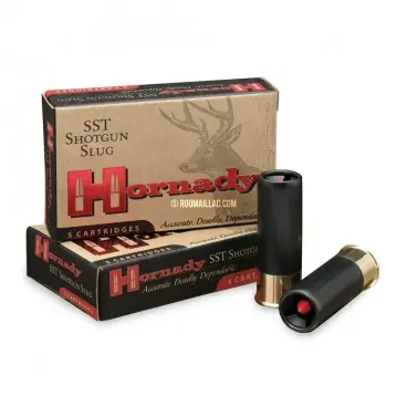 Populaire BALLES HORNADY HORNADY SST 12 FTX 8623